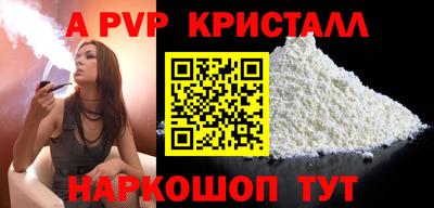 крисы Кингисепп