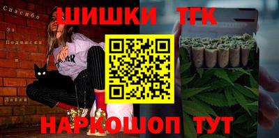 крисы Кингисепп