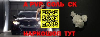 крисы Кингисепп