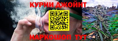 крисы Кингисепп