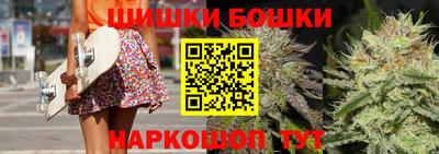 крисы Кингисепп