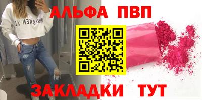 крисы Кингисепп