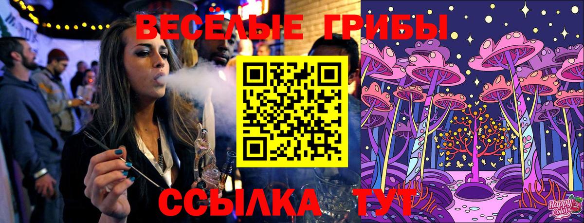 Королёв  Псилоцибиновые грибы прущие грибы  Вход с VPN 