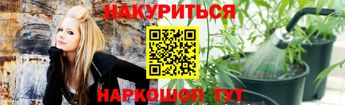 Королёв  Бошки марихуана MAZAR  Бошки Шишки LSD WEED  Шишки марихуана OG Kush  Вход с VPN 